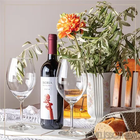 게스트하우스 Melissothea Stone Mesana