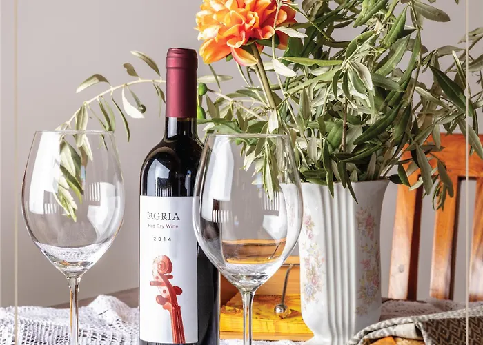 ゲストハウス Melissothea Stone Mesana